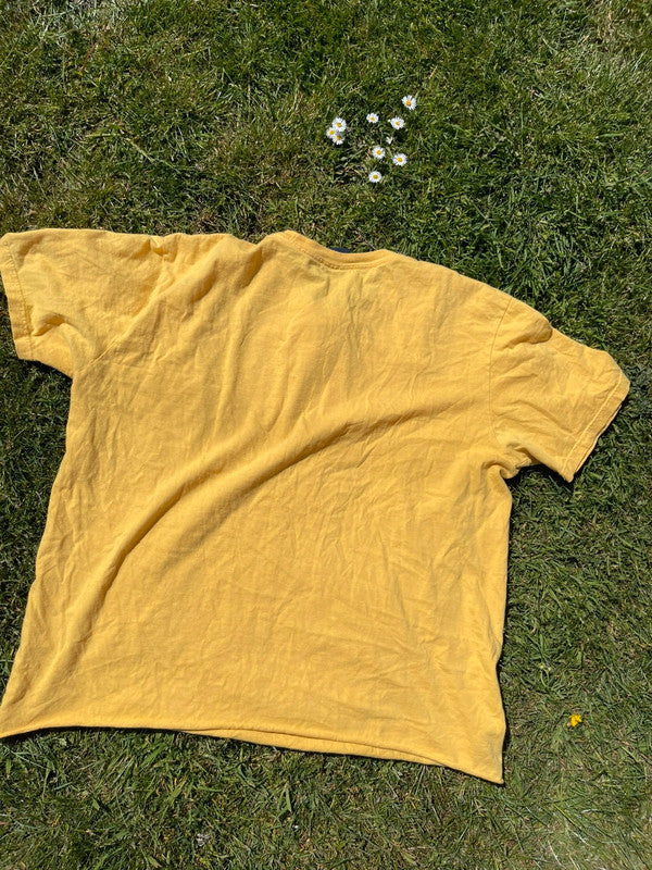 Ralph Lauren polo T-shirt large